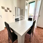 Rent 4 bedroom apartment of 100 m² in Campobasso