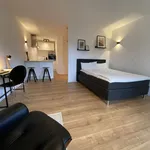 Miete 1 Schlafzimmer wohnung von 32 m² in Dresden