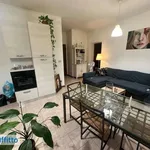 Rent 2 bedroom apartment of 58 m² in Turin