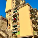 Rent 2 bedroom apartment of 75 m² in Genoa