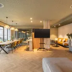 Rent 6 bedroom apartment in Porto