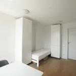 Rent 3 bedroom apartment of 76 m² in Szczecin