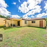 Rent 4 bedroom house in Ferny Grove