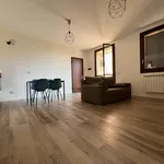 Rent 2 bedroom apartment of 52 m² in Fiorenzuola d'Arda