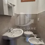 Rent 3 bedroom apartment of 100 m² in Ortona