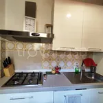 Rent 3 bedroom apartment of 96 m² in Roma