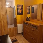 Rent 2 bedroom apartment of 57 m² in Brno