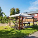 Hyr ett 2-rums lägenhet på 64 m² i Skellefteå