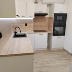 Rent 1 bedroom apartment of 60 m² in Chomutov