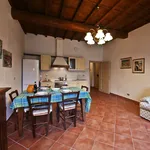 Rent 2 bedroom apartment of 70 m² in Florence