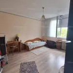 Rent 2 bedroom apartment of 55 m² in Kecskemét