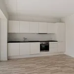 Rent 4 bedroom apartment of 95 m² in Ølstykke