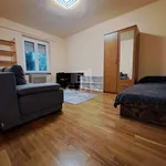 Rent 2 bedroom apartment of 50 m² in Miskolc