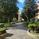 Rent 3 bedroom apartment of 100 m² in Roma