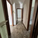 Rent 5 bedroom apartment of 105 m² in Pavia