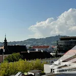 Rent 2 bedroom apartment of 47 m² in Linz