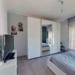 Rent 2 bedroom apartment of 55 m² in Torino