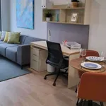 Rent 1 bedroom apartment in porto