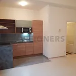 Rent 1 bedroom apartment of 47 m² in Pilsen