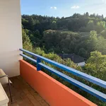 Rent 1 bedroom apartment of 3667 m² in Kusel