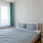 Rent 1 bedroom apartment in Capital City of Prague