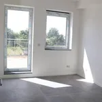 Rent 1 bedroom apartment in BREENDONK