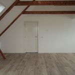 Rent 2 bedroom apartment of 59 m² in groningen