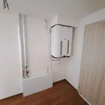 Rent 3 bedroom apartment of 115 m² in Brno