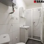 Rent 1 bedroom apartment of 30 m² in Brno