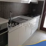 Rent 3 bedroom apartment of 100 m² in Roma