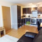 Rent 1 bedroom flat in Colchester