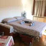 Rent 1 bedroom apartment of 35 m² in Pisa