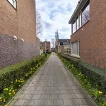 Jan Bijhouwerstraat, IJsselstein - Amsterdam Apartments for Rent