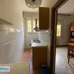 Affitto 3 camera appartamento di 86 m² in Bologna