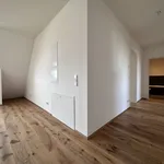 Rent 4 bedroom apartment of 144 m² in Leipzig