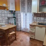 Rent 3 bedroom apartment of 60 m² in Biella