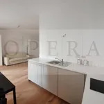 Rent 1 bedroom apartment of 45 m² in Bolzano - Bozen