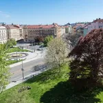 Pronajměte si pokoj o rozloze 113 m² v prague