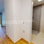 Rent 1 bedroom apartment of 28 m² in Zlín