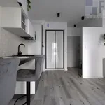 Rent 1 bedroom apartment of 29 m² in Chorzów