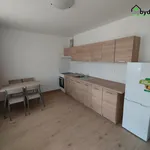 Rent 2 bedroom apartment of 41 m² in Dnešice