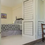 Apartment for Rent Kingston & St. Andrew, Kingston 8