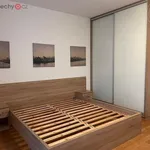 Rent 2 bedroom apartment of 44 m² in Trhový Štěpánov