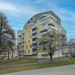 Pronajměte si 2 ložnic/e byt o rozloze 57 m² v České Budějovice