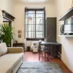 Rent 1 bedroom apartment of 50 m² in florence