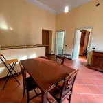 Rent 1 bedroom apartment of 50 m² in milano