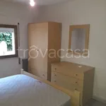 Rent 3 bedroom apartment of 70 m² in Castelvetrano