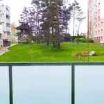 Pronájem bytu 2+1 53 m2 Wolkerova, Žďár nad Sázavou