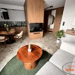 Rent 2 bedroom apartment of 40 m² in Poznan