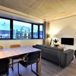 Rent 1 bedroom apartment of 50 m² in Eindhoven